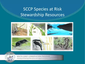 SCCP Species at Risk  Stewardship Resources  Nature Stewards Program    Ongoing since 2006