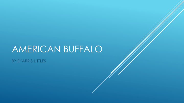 american buffalo