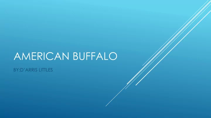 american buffalo