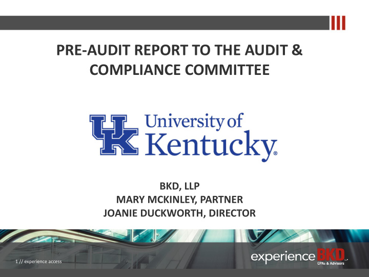 pre audit report to the audit