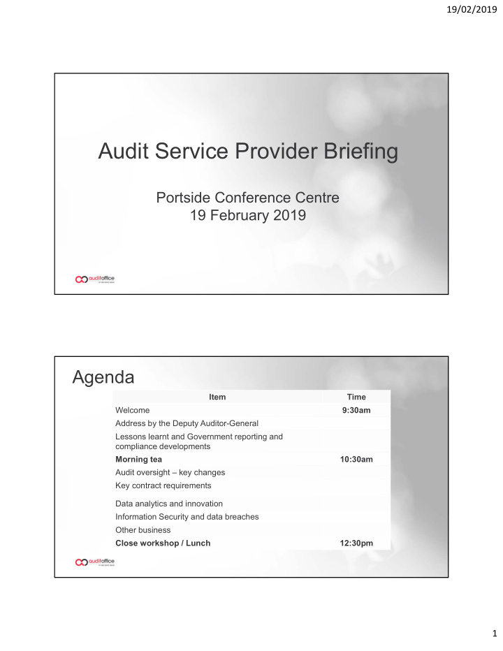 audit service provider briefing