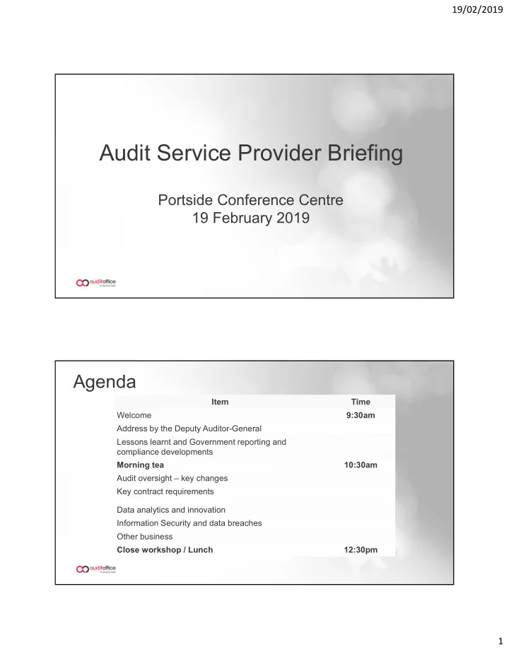 audit service provider briefing
