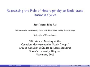 Reassessing the Role of Heterogeneity to Understand  Business Cycles  Jos  e V  ctor R