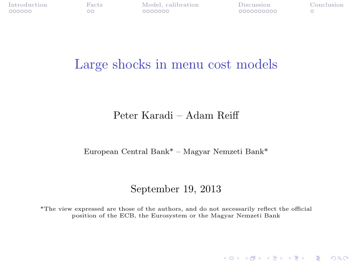 large shocks in menu cost models