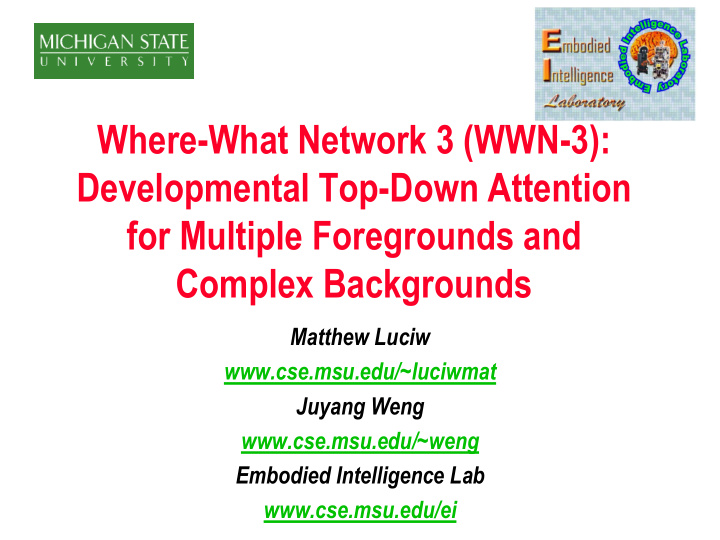 where what network 3 wwn 3 developmental top down