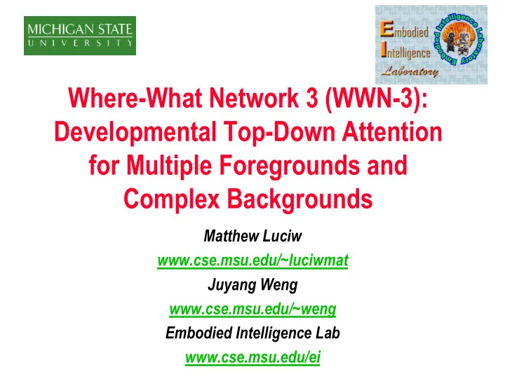 where what network 3 wwn 3 developmental top down