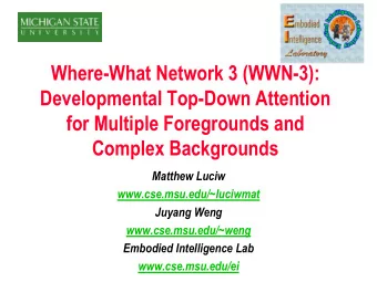 Where-What Network 3 (WWN-3):  Developmental Top-Down Attention  for Multiple Foregrounds and