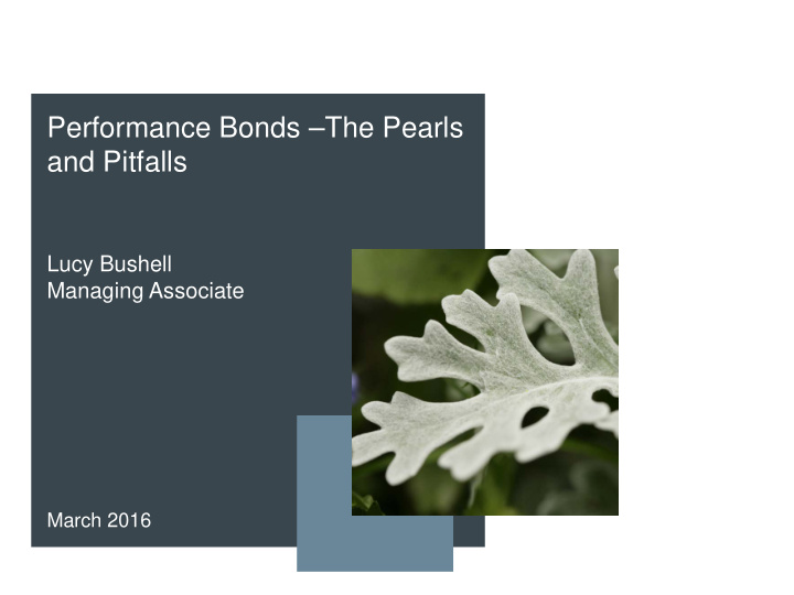performance bonds the pearls and pitfalls