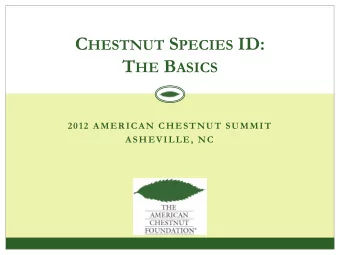 C HESTNUT S PECIES ID: T HE B ASICS  2012 AMERICAN CHESTNUT SUMMIT  ASHEVILLE, NC American Chestnut