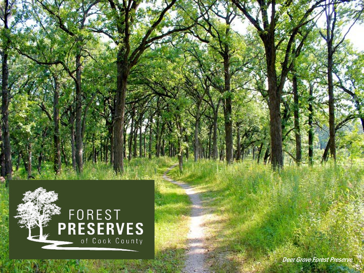 deer grove forest preserve forest preserves of cook county