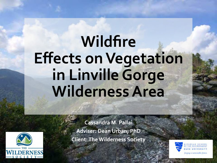 wildfire effects on vegetation in linville gorge