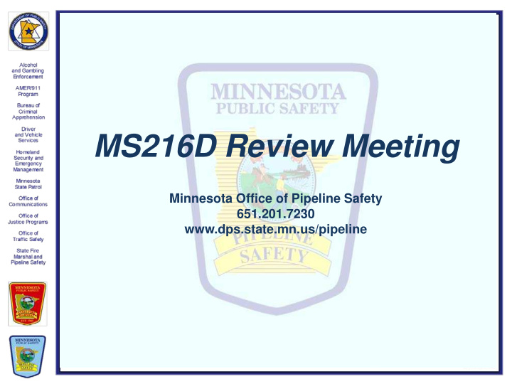 ms216d review meeting