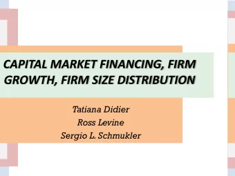 GROWTH, FIRM SIZE DISTRIBUTION  Tatiana Didier  Ross Levine Sergio L. Schmukler  Abstract  In this