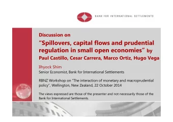 Spillovers, capital flows and prudential regulation in small open economies by  Paul