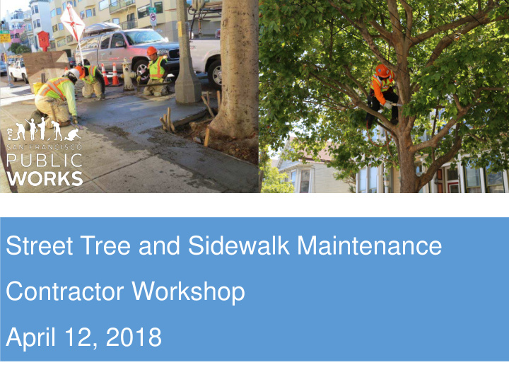 street tree and sidewalk maintenance contractor workshop