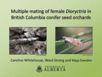Multiple mating of female Dioryctria in  British Columbia conifer seed orchards  Jason Dombrowski