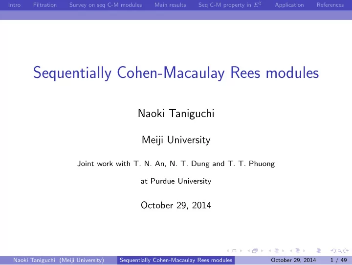 sequentially cohen macaulay rees modules