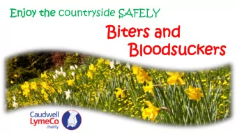 Bi  Bite  ters  rs an  and  Bl  Bloo  oodsucke  suckers  rs  Some bugs bite us.  Do you know which