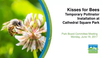 Kisses for Bees  Temporary Pollinator  Installation at  Cathedral Square Park  Park Board Committee