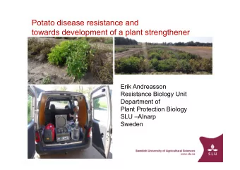 Potato disease resistance and  towards development of a plant strengthener  Erik Andreasson