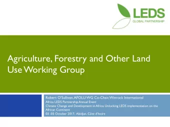 Use Working Group Robert OSullivan, AFOLU WG Co -Chair, Winrock International  Africa LEDS