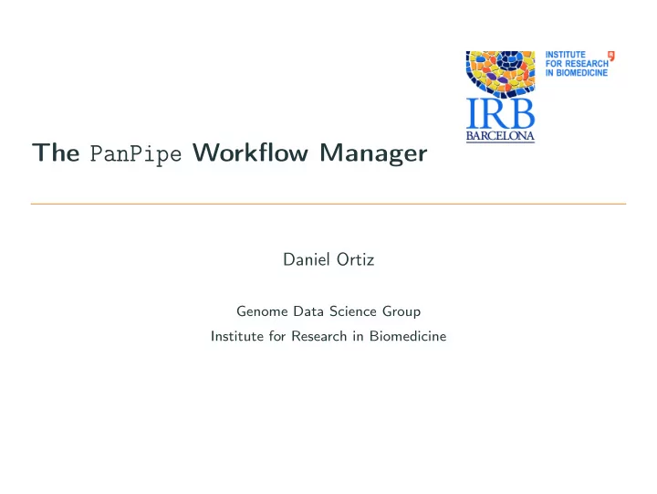 the panpipe workflow manager