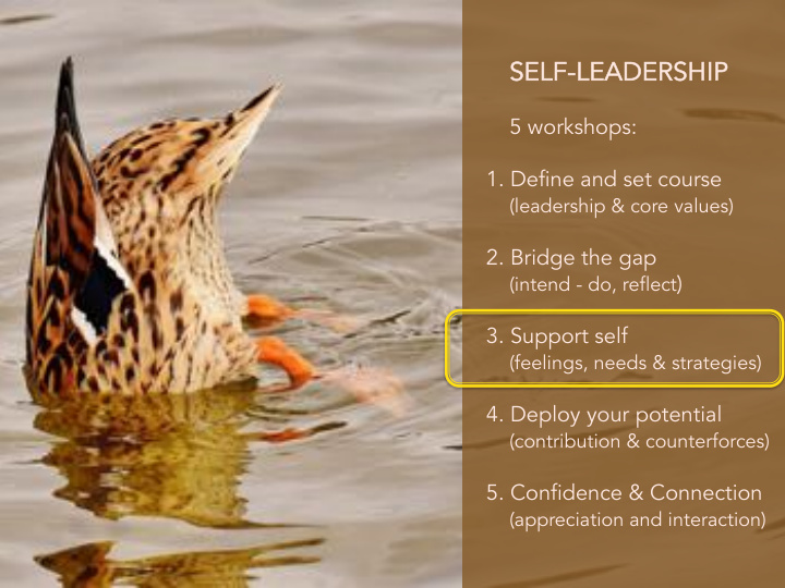 self lf le leadership