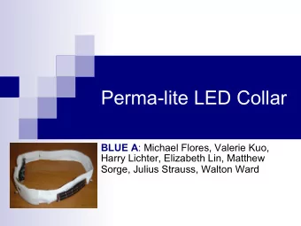 Perma-lite LED Collar BLUE A : Michael Flores, Valerie Kuo,  Harry Lichter, Elizabeth Lin, Matthew