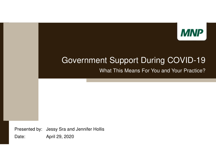 government support during covid 19