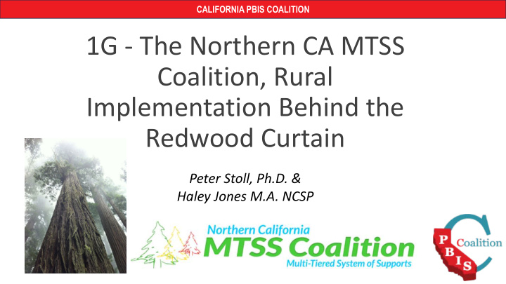 1g the northern ca mtss coalition rural implementation