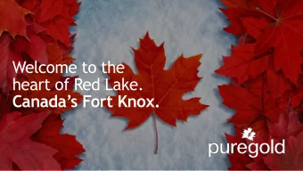 Welcome to the  heart of Red Lake.  Canadas Fort Knox.  FORWARD LOOKING STATEMENTS  This