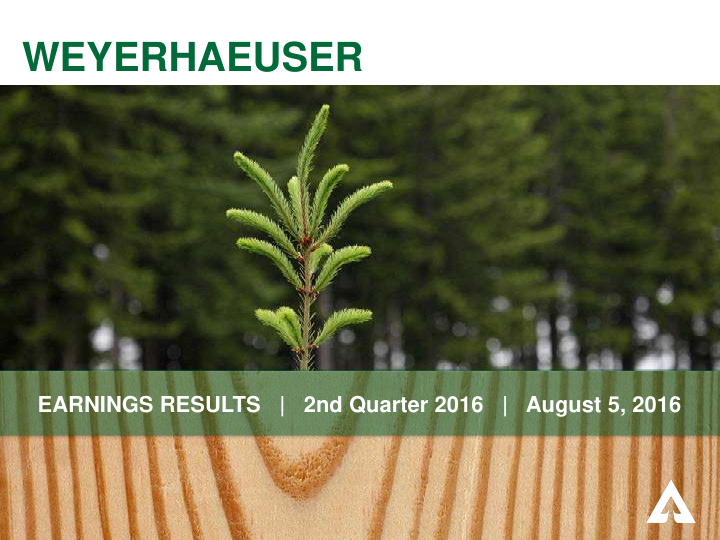 weyerhaeuser