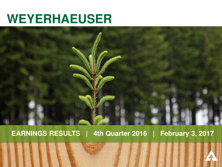 weyerhaeuser