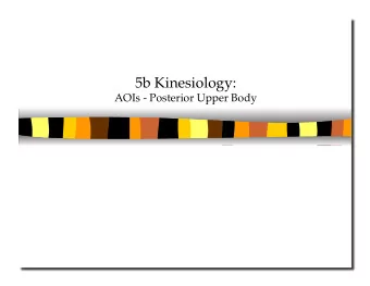5b Kinesiology:  AOIs - Posterior Upper Body 5b Kinesiology: AOIs - Posterior Upper Body