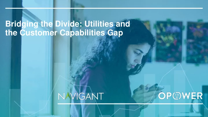 bridging the divide utilities and the customer
