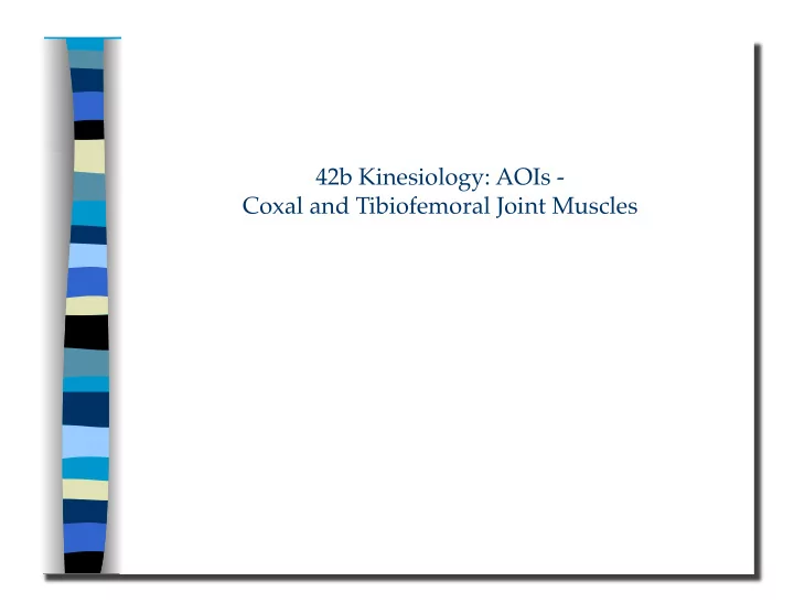 42b kinesiology aois coxal and tibiofemoral joint muscles