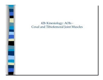 42b Kinesiology: AOIs - Coxal and Tibiofemoral Joint Muscles 42b Kinesiology: AOIs -   Coxal and
