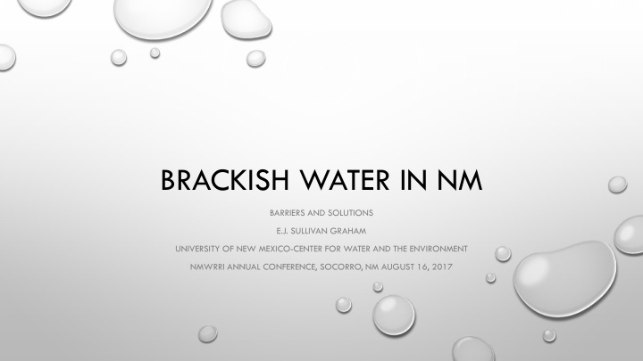 brackish water in nm