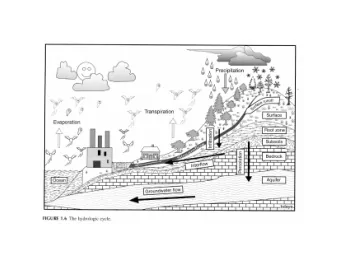 Water &amp;  Courtesy F. Phillips and S. Mills  Salt  Inputs/  Cyclic salts and  Riparian
