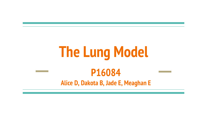 the lung model