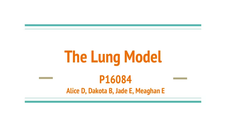 the lung model