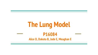 The Lung Model  P16084  Alice D, Dakota B, Jade E, Meaghan E  Overview  Model of the respiratory