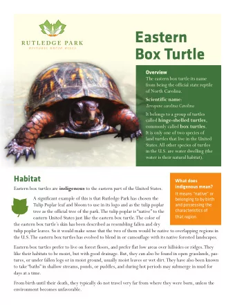 Eastern  Box Turtle Overview  The eastern box turtle its name  from being the official state