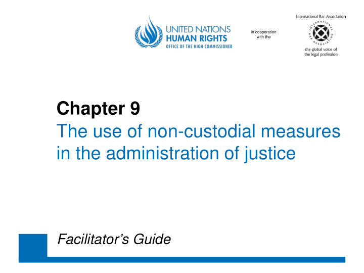 chapter 9 the use of non custodial measures in the