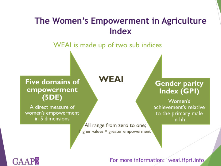 the women s empowerment in agriculture index