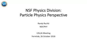 NS  NSF Physics Division:  :  Pa  Particle Physics Pe  Perspective  Randy Ruchti  NSF/PHY  USLUA