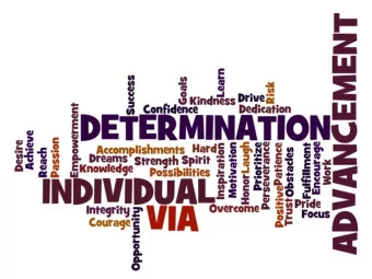 What is AVID?  AVID is Advancement Via Individual Determination  AVID is an academic, regularly