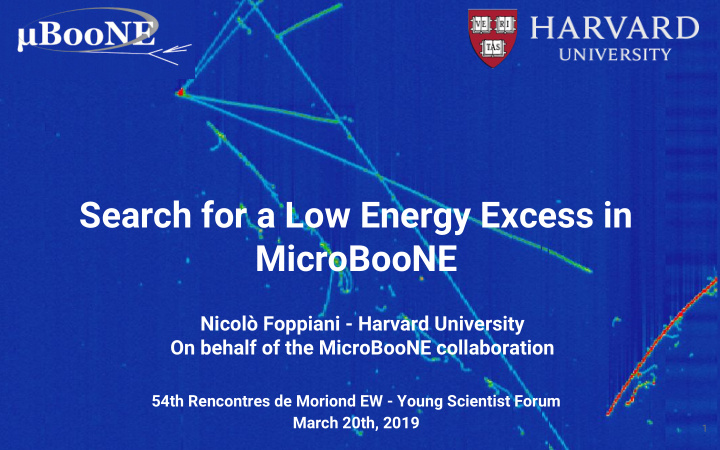 search for a low energy excess in microboone