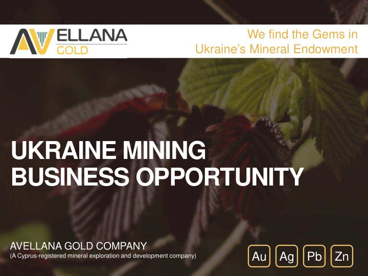 ukraine mining business opportunity