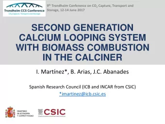 WITH BIOMASS COMBUSTION  IN THE CALCINER  I. Martnez*, B. Arias, J.C. Abanades  Spanish Research